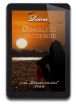 Odnaleźć Szczęście - tom 6 (e-book)